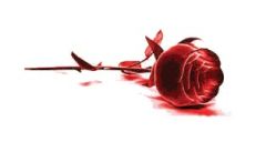 الأدب المهدوي / أناشيد للصغار يا ابن البضعة الزهراء