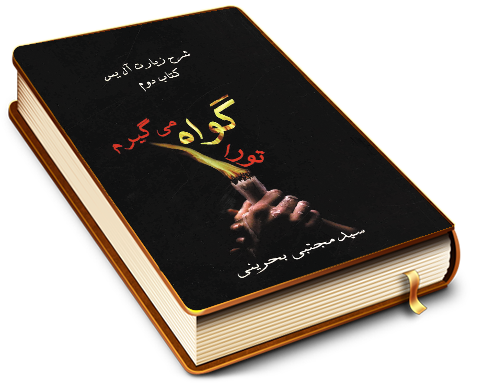 تو را گواه میگیرم - شرح زیارت آل یاسین (کتاب دوم)