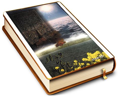 بر ساحل دیدار