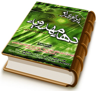 پرتوی از دهه مهدویه