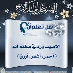 هل تعلم أن- ١٣٧