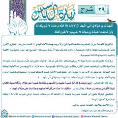 شرح زيارة آل ياسين- ٢٩