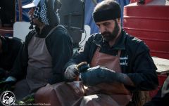 (١٦٦) تنظيف وتلميع احذية الزائرين