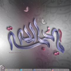 (٥٠٦) يا حجة الله