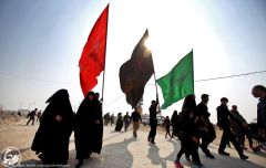 (٢٢٠) نساءٌ ورجال يحملون رايات العشق الحسيني في مسيرة الأربعين