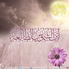 (٥٤٣) أين الشموس الطالعة