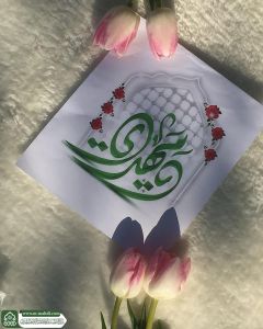 (٦٥٢) يا مهدي