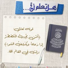 هل تعلم أن- ٢٤٩