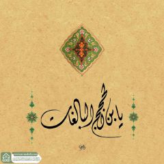 (٨١٤) يا بن الحجج البالغات