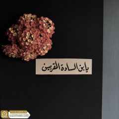 (٨٨٤) يا بن السادة المقربين