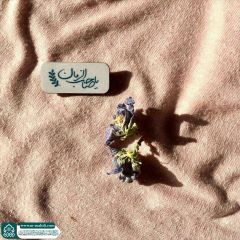 (٨٨٩) يا صاحب الزمان