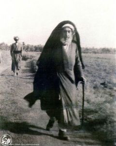 (٥١) آية الله العظمى الميرزا جواد التبريزي قدس سره