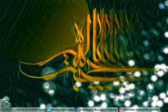 (٢٢٣) يا حجة الله