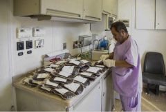 قنينة دم مختلفة الأصناف تبرع بها زائرين أبا عبد الله الحسين (عليه السلام)